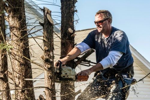 Man in sunglasses using a chainsaw to cut a tree, with wood chips flying.