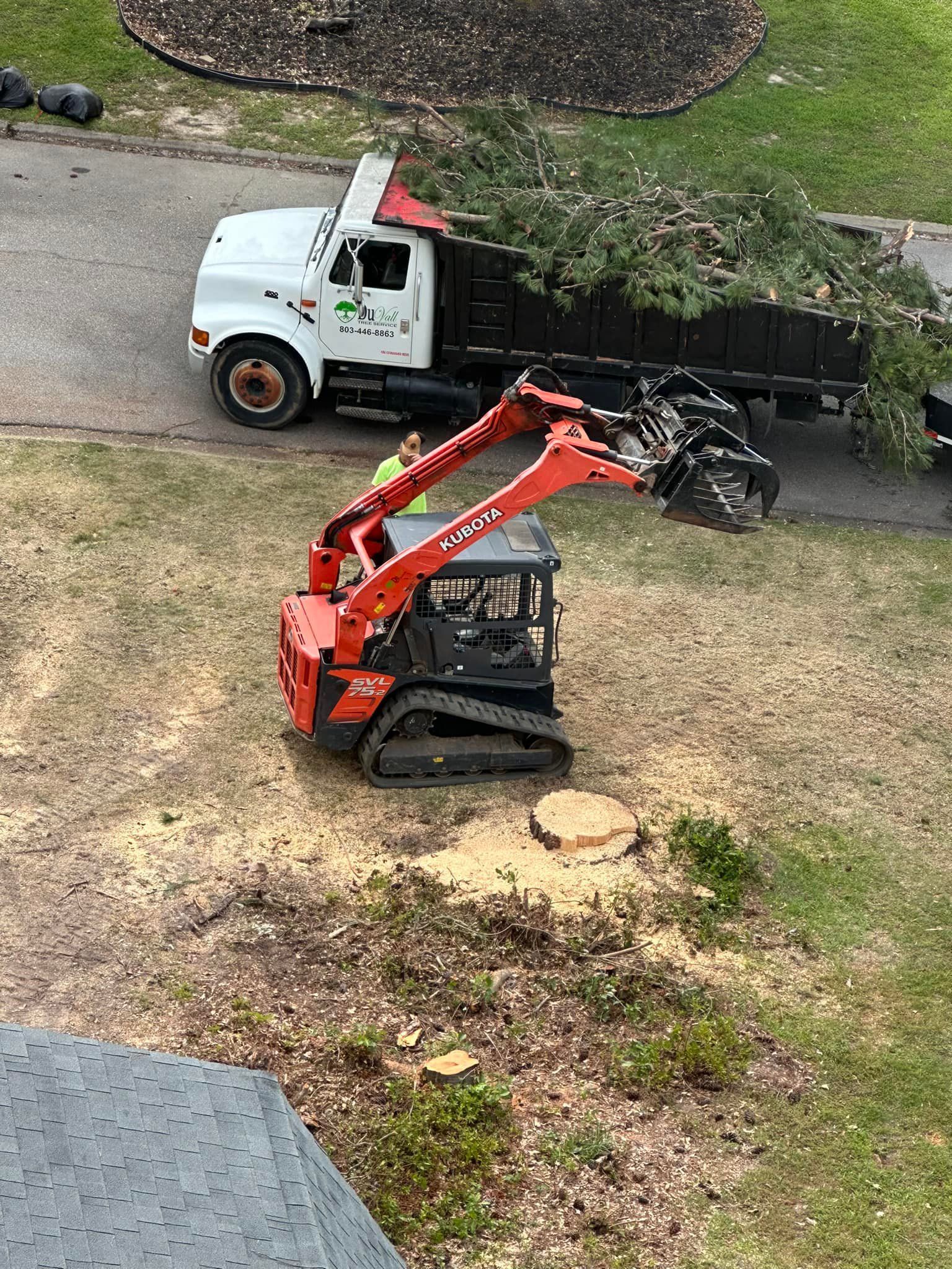 A tree service truck with a red Kubota skid steer grinding a tree stump on a lawn.
