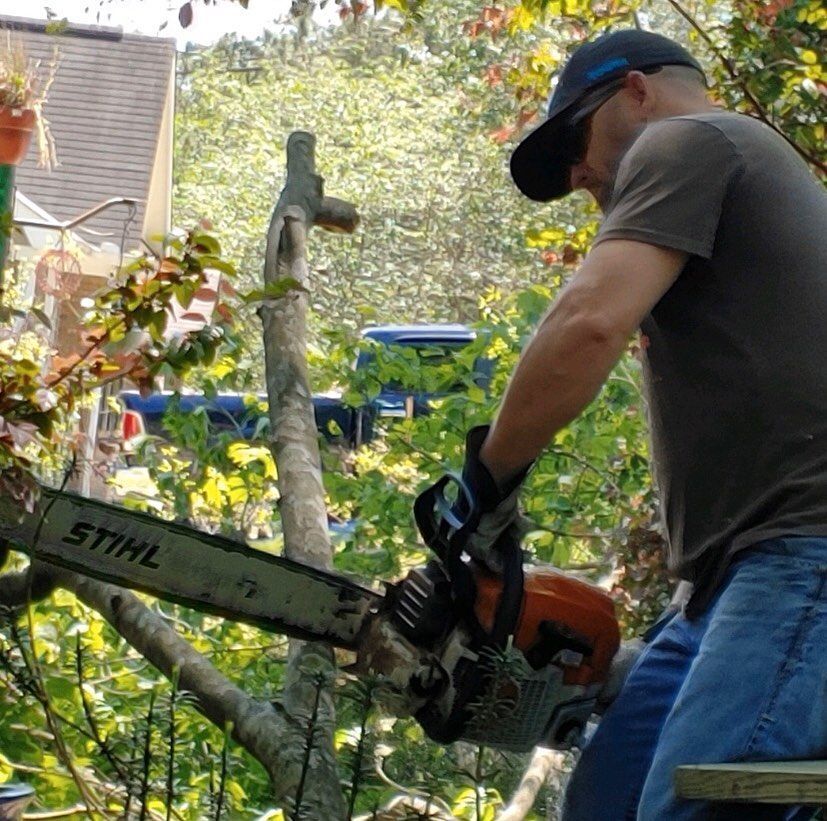 Man using a Stihl chainsaw to cut a tree branch outdoors. Wearing gloves, hat and sunglasses.