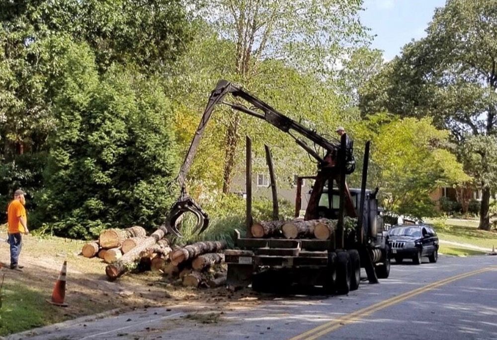 A logging truck loads cut tree logs on a street, worker in orange vest watches.