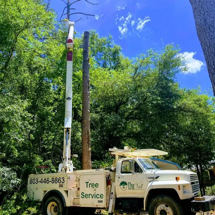 White tree service truck with extended lift trimming a tall tree against a blue sky.