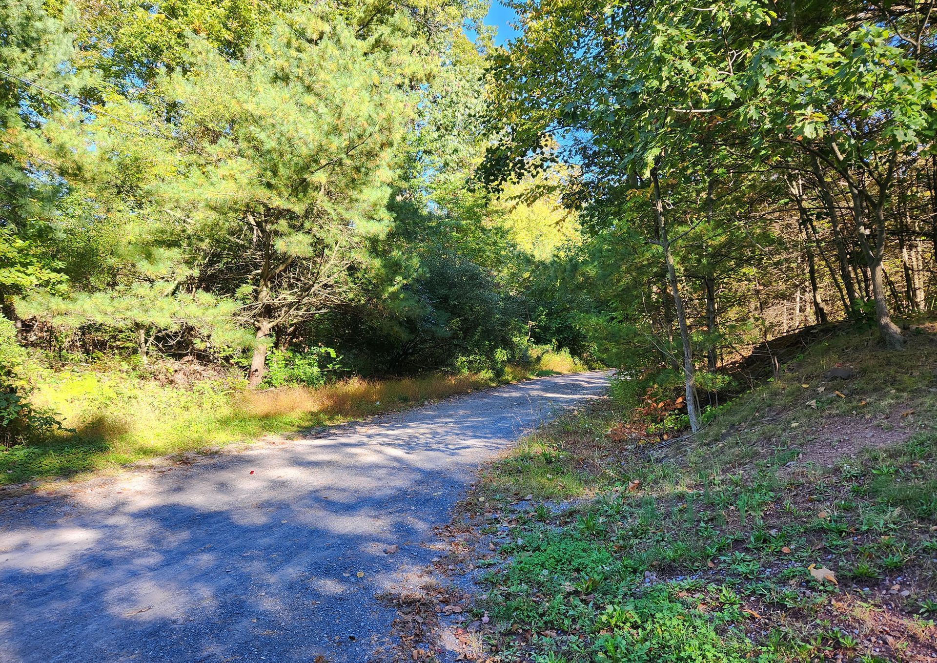 View of the property entrance from road