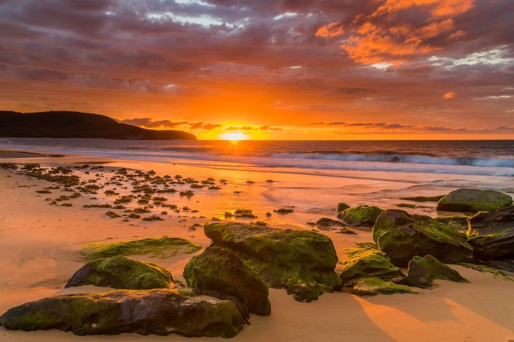 Sunset Over Beach With Golden Sand And Colorful Clouds — NLJ Partners P/L In Wyong, NSW