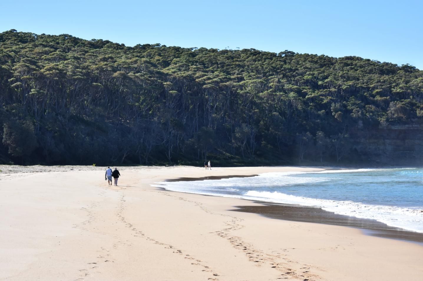 Two People Are Walking on a Beach With Trees in the Background — NLJ Partners P/L In Wyong, NSW