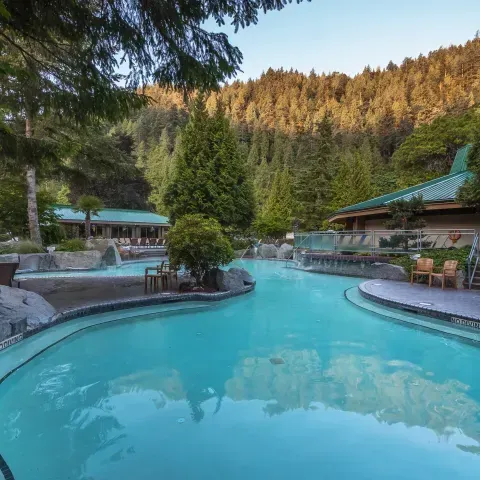 A large swimming pool in the middle of a forest