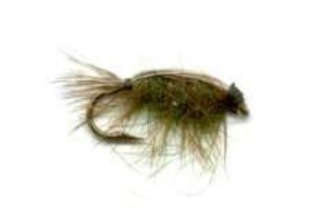 A close up of a fly with a hook on a white background.