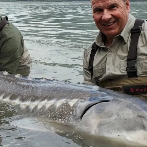 A man is standing next to a large fish in the water