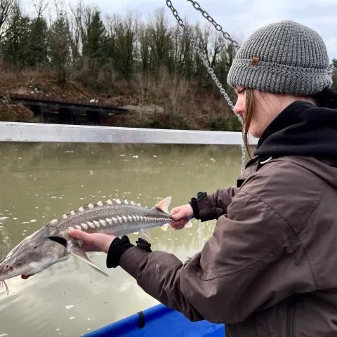 A woman is holding a large fish in her hands.