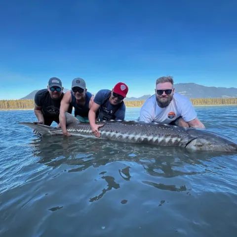 A group of men are standing next to a large fish in the water.