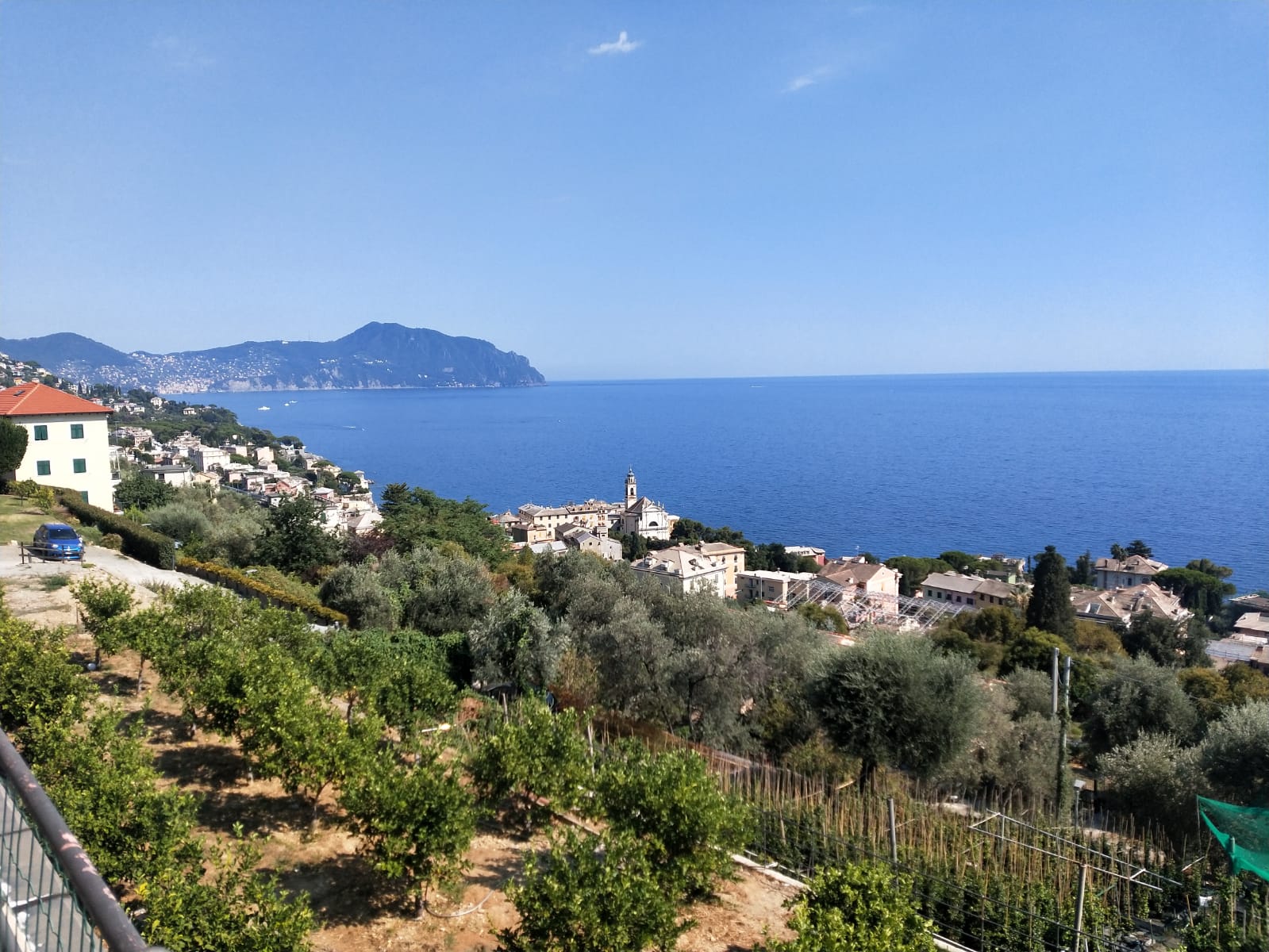 affitto appartamento Bogliasco Via Cannone