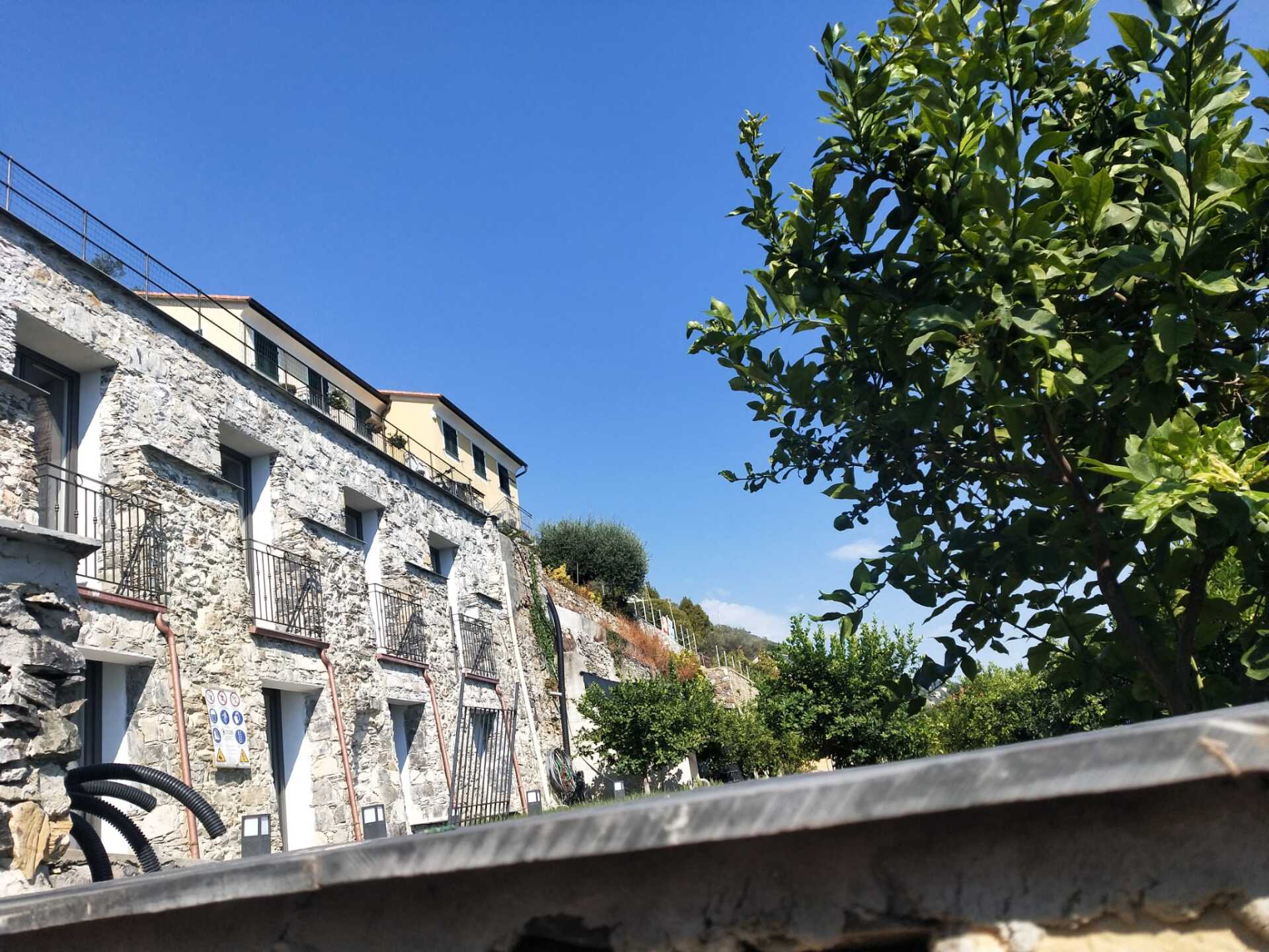 affitto appartamento Bogliasco Via Cannone