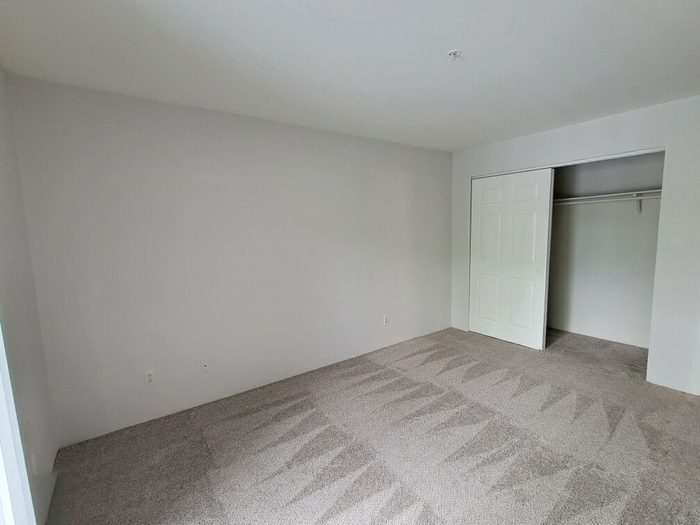 An empty bedroom with a carpeted floor and a closet.
