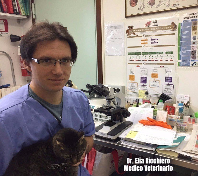 Dott. Elia Ricchiero