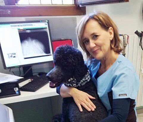 veterinario cadoneghe