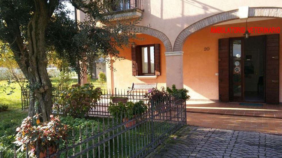 ambulatorio veterinario