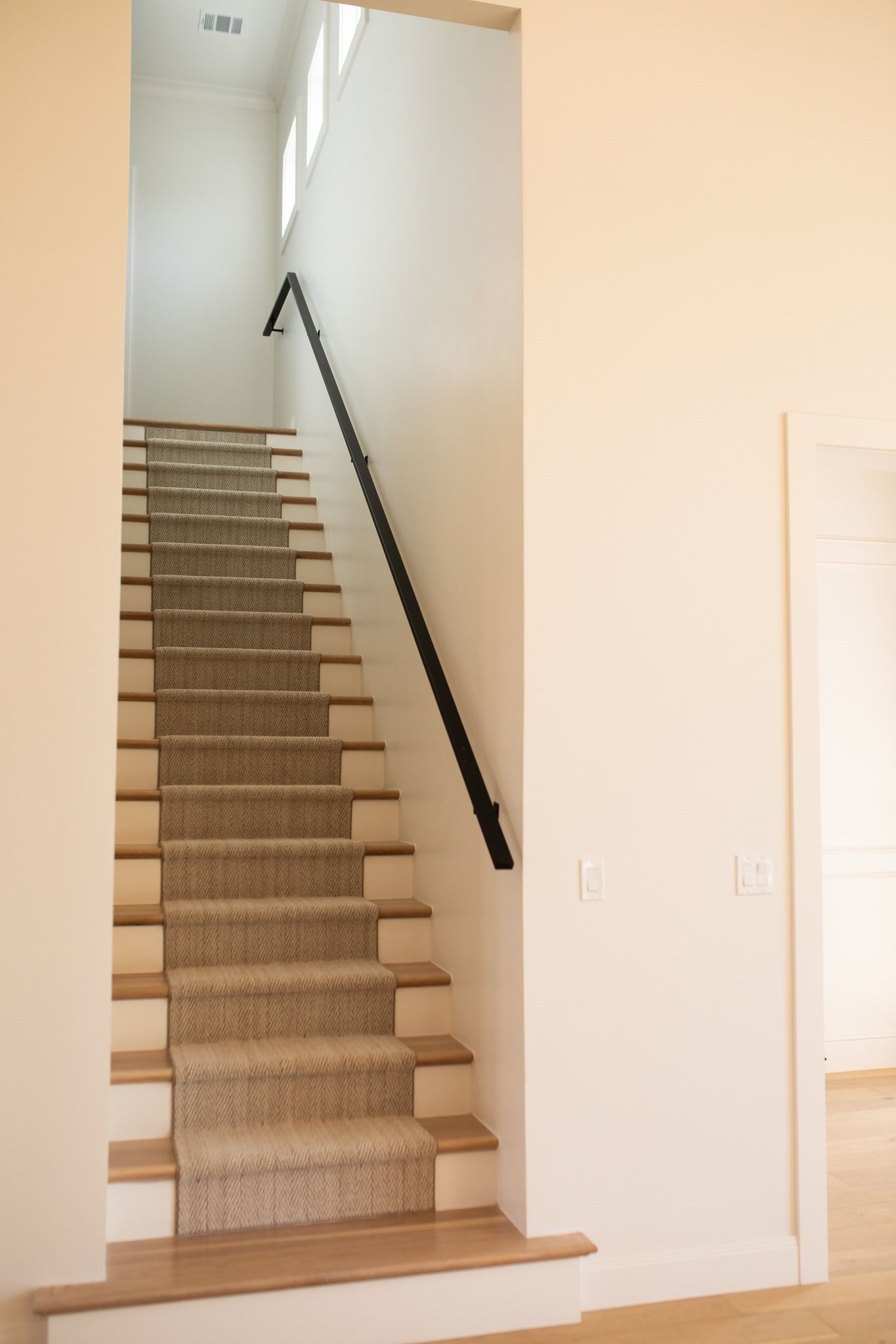 A staircase with a carpeted staircase and a black railing