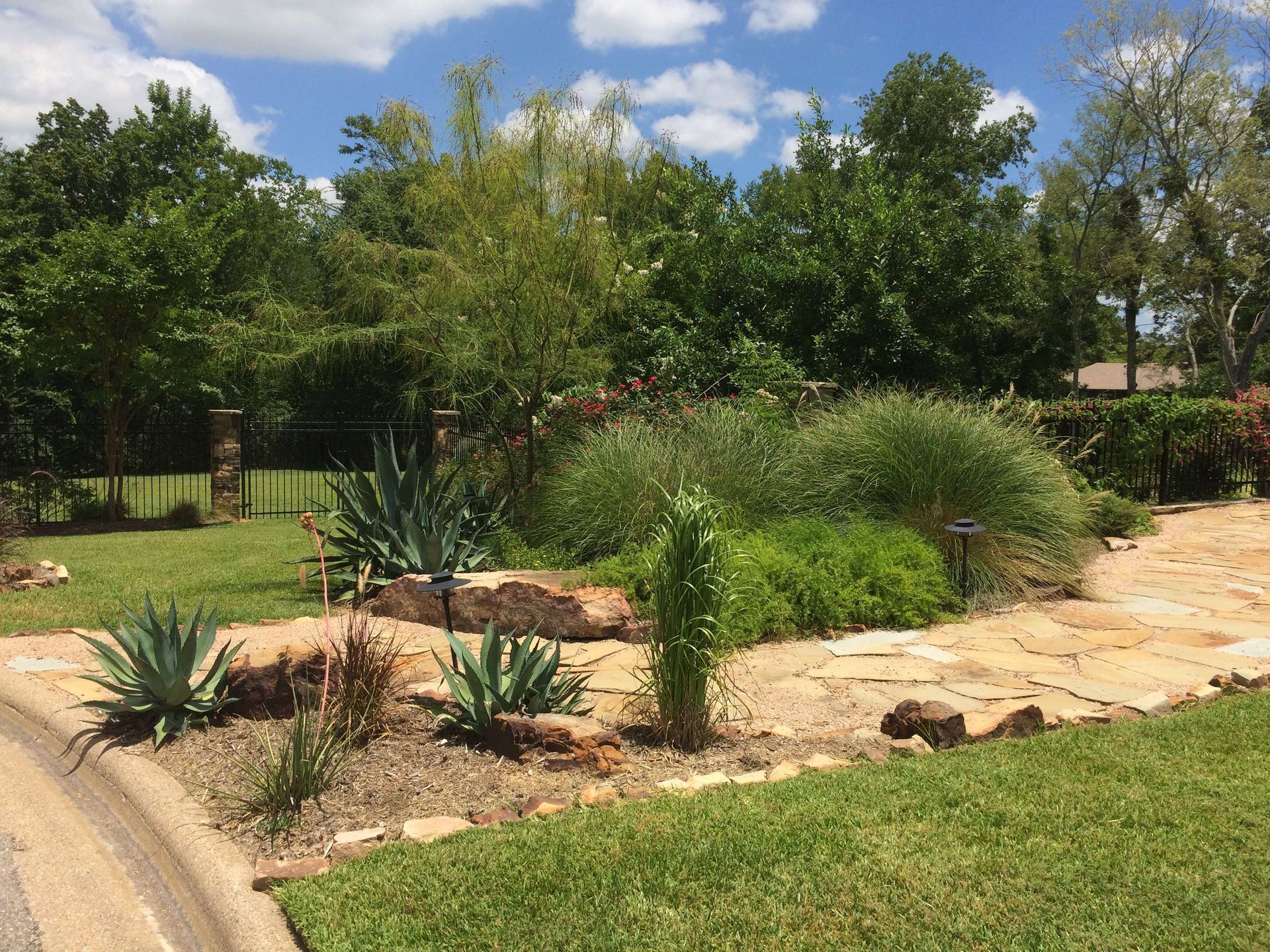 A garden with a lot of plants and rocks in it