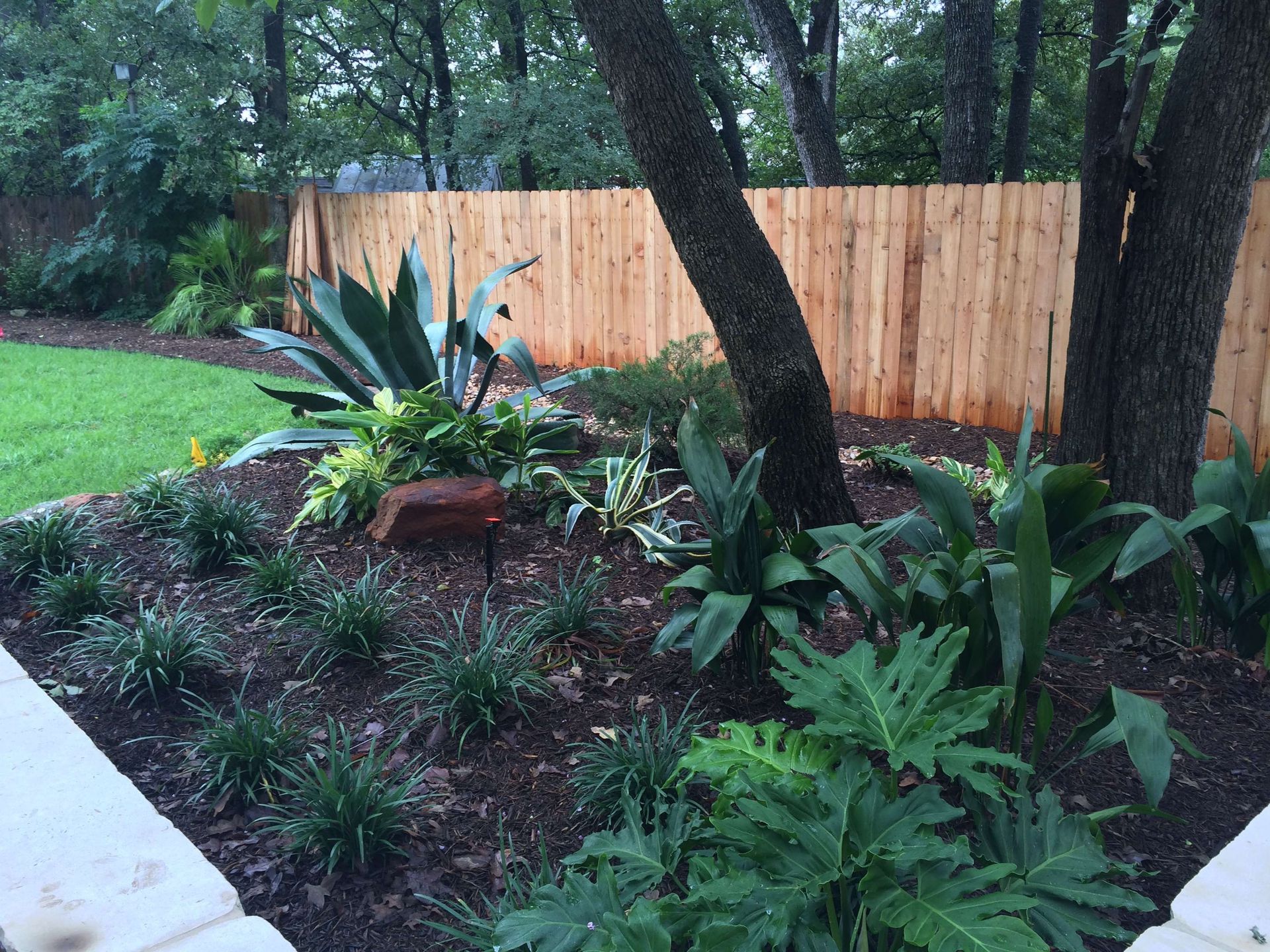 A wooden fence surrounds a lush green garden