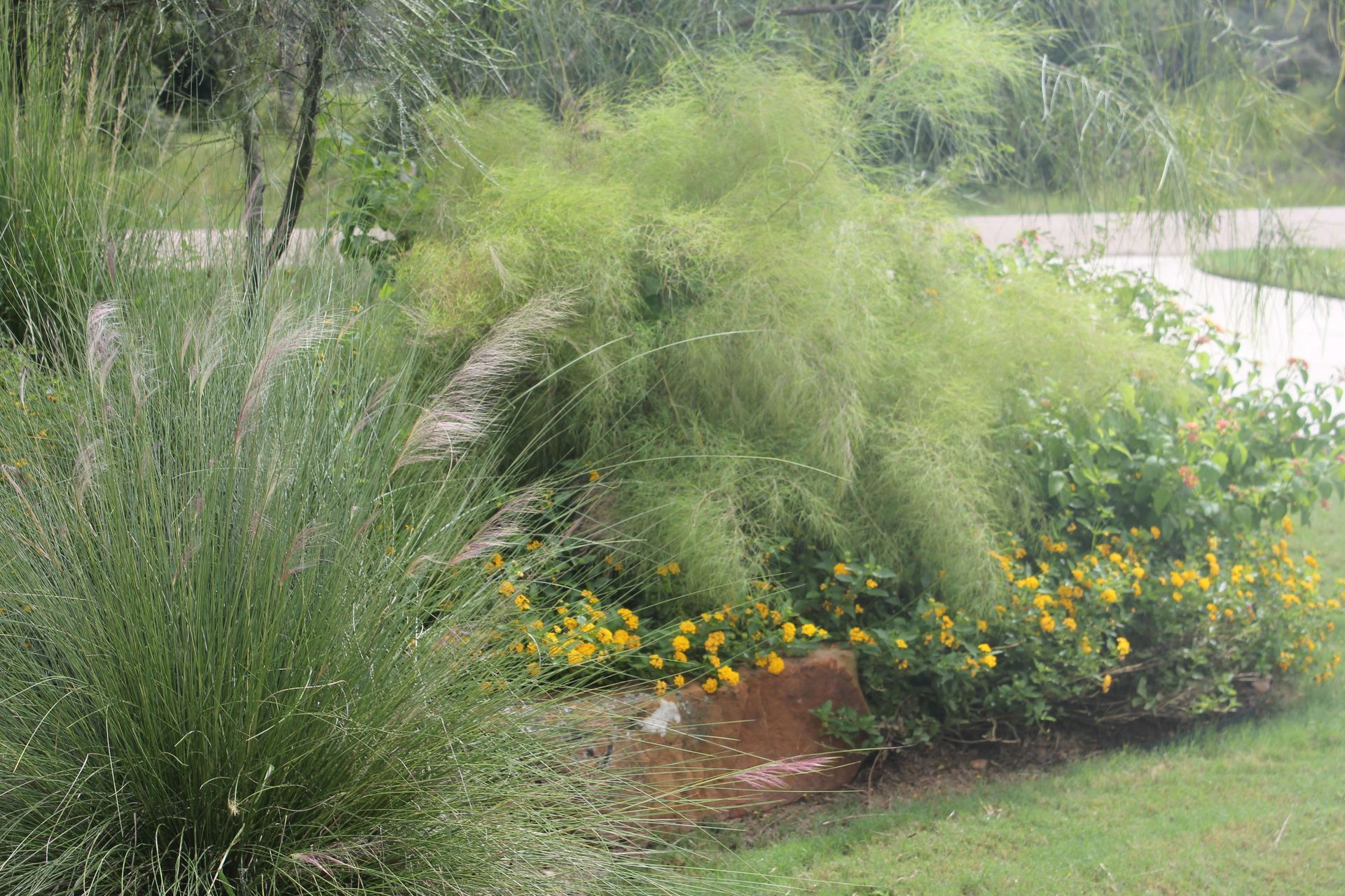 There are a lot of plants and flowers in the garden.