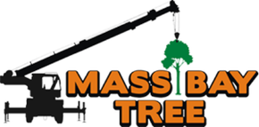 A logo for Mass Bay Tree