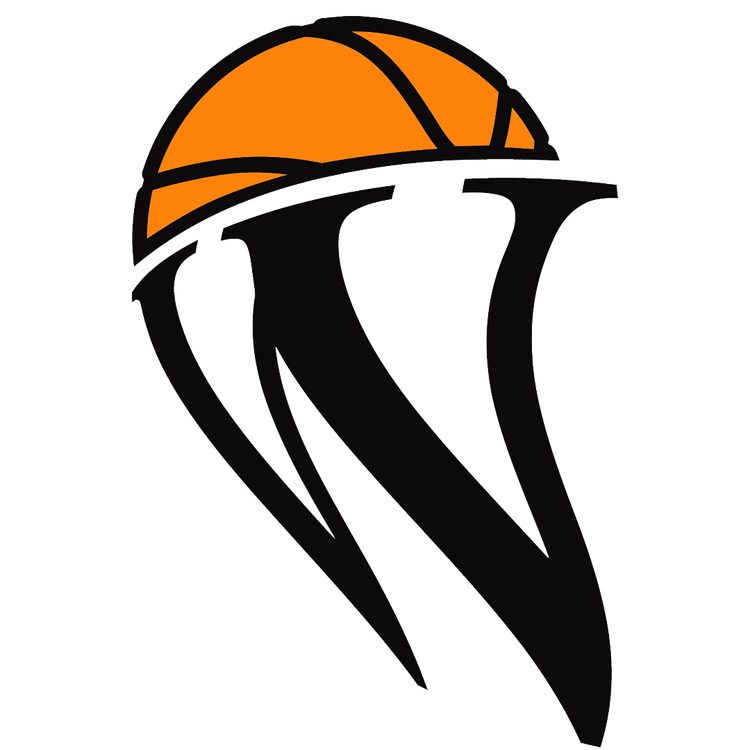 Stylized orange basketball with black-and-white swoosh design