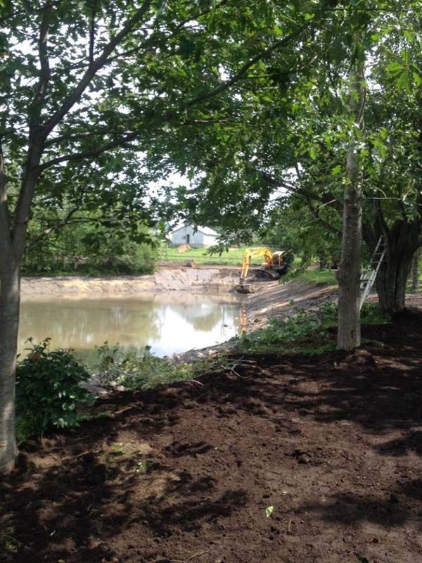 Une excavatrice jaune travaille sur un étang entouré d'arbres.