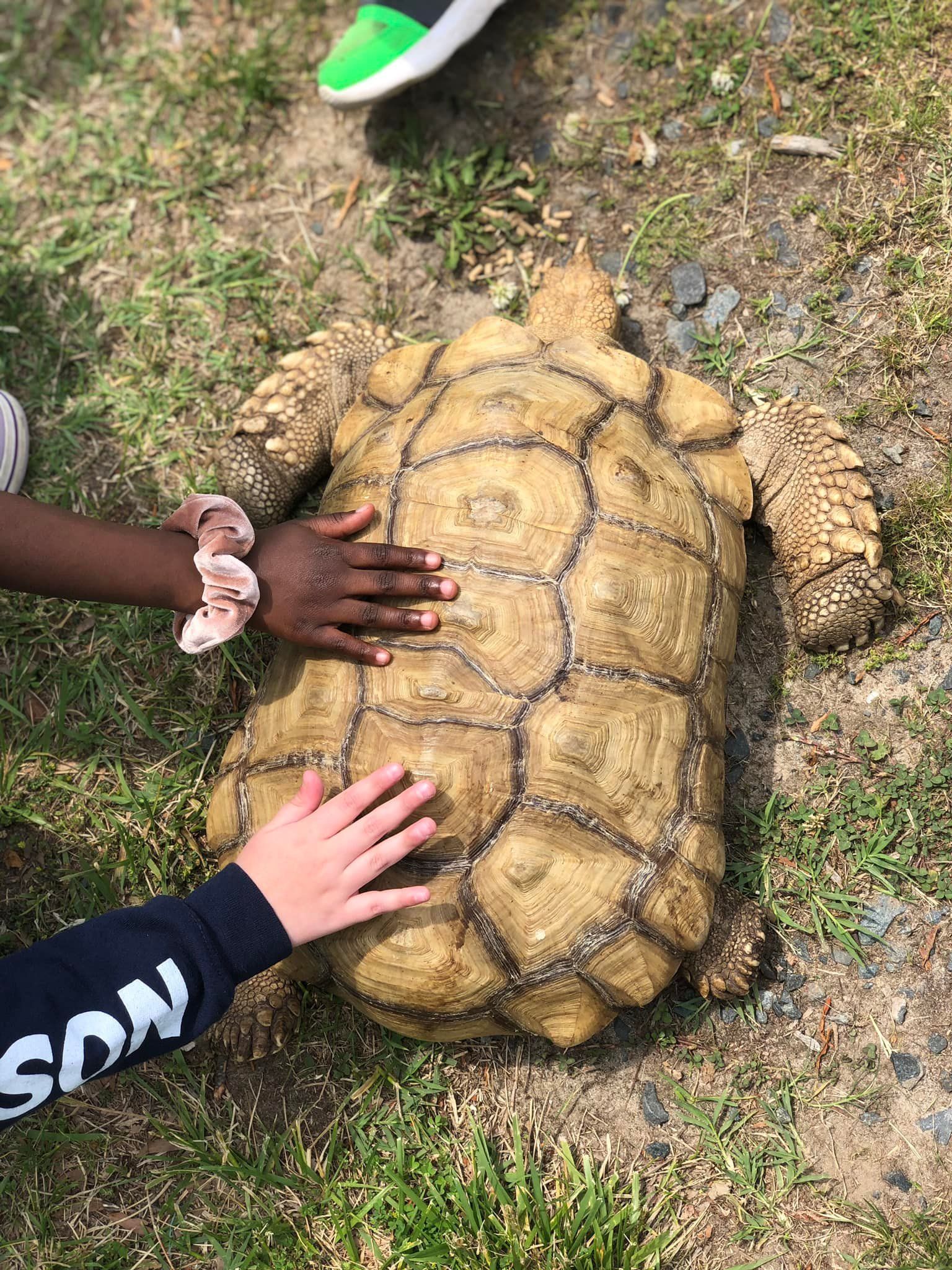 Funny Farm Petting Zoo!