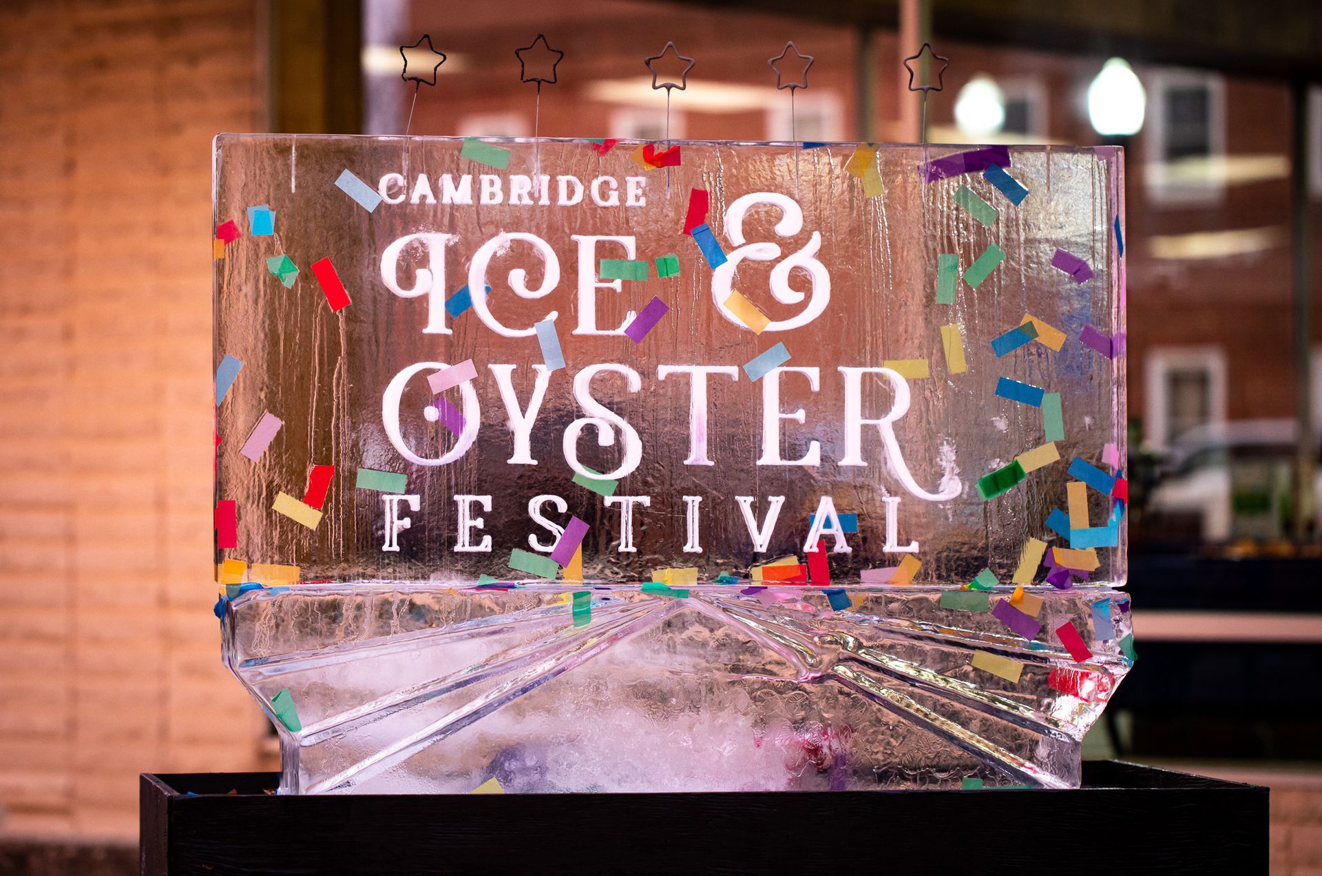 Cambridge Ice & Oyster Festival 2024