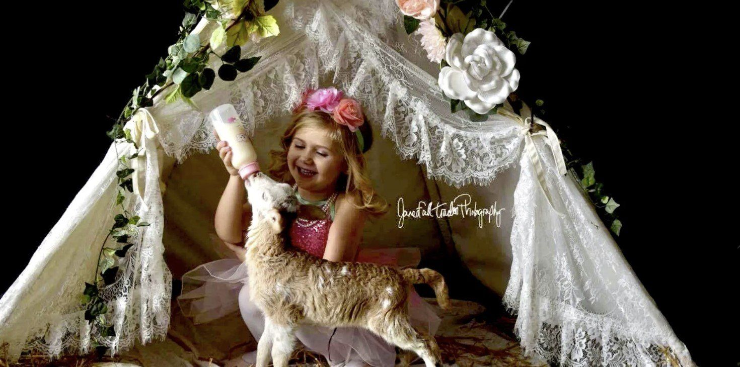 A baby goat drinks milk from a baby bottle being held by a little girl