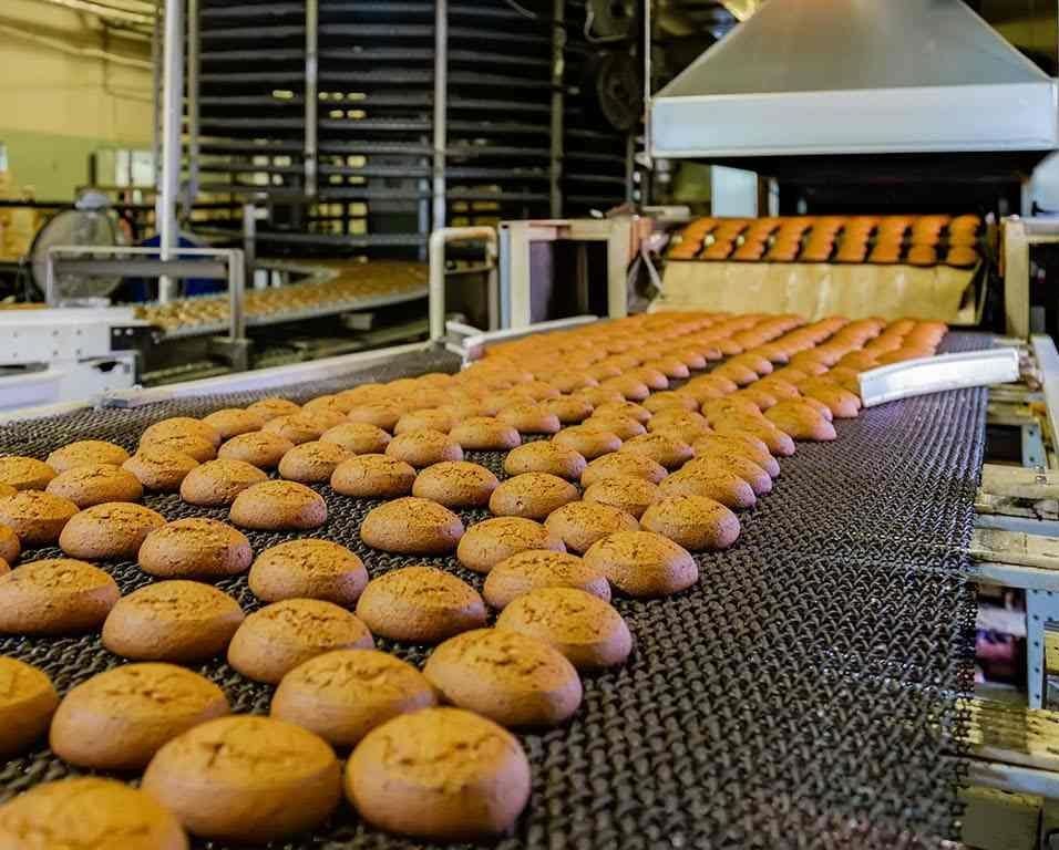 Food Processing Pest Control