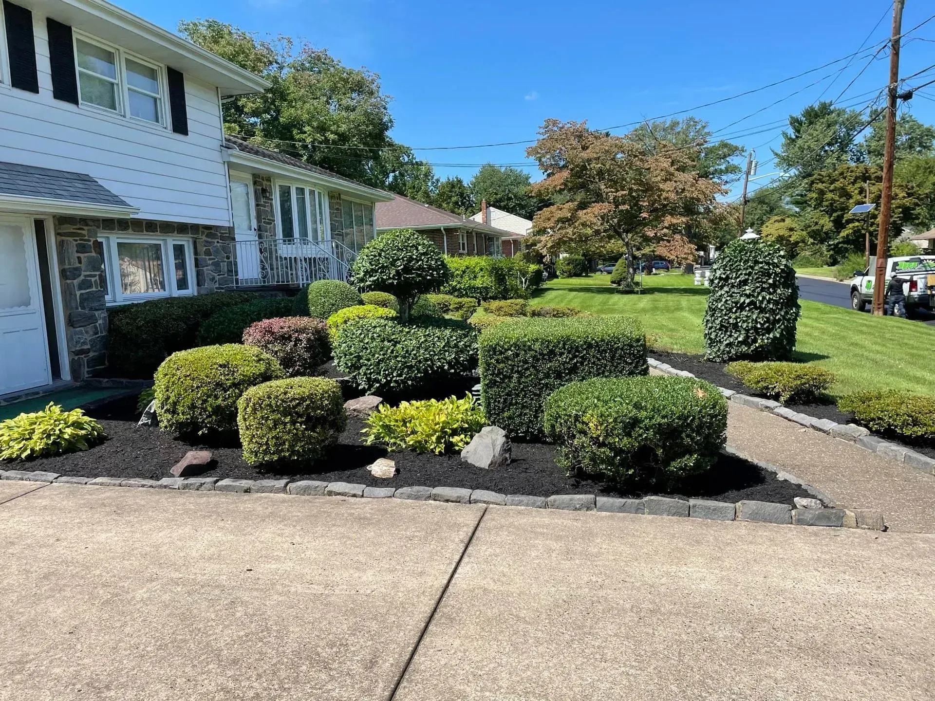 Well-manicured front yard with bushes and black mulch. A house sits in the background on a sunny day.