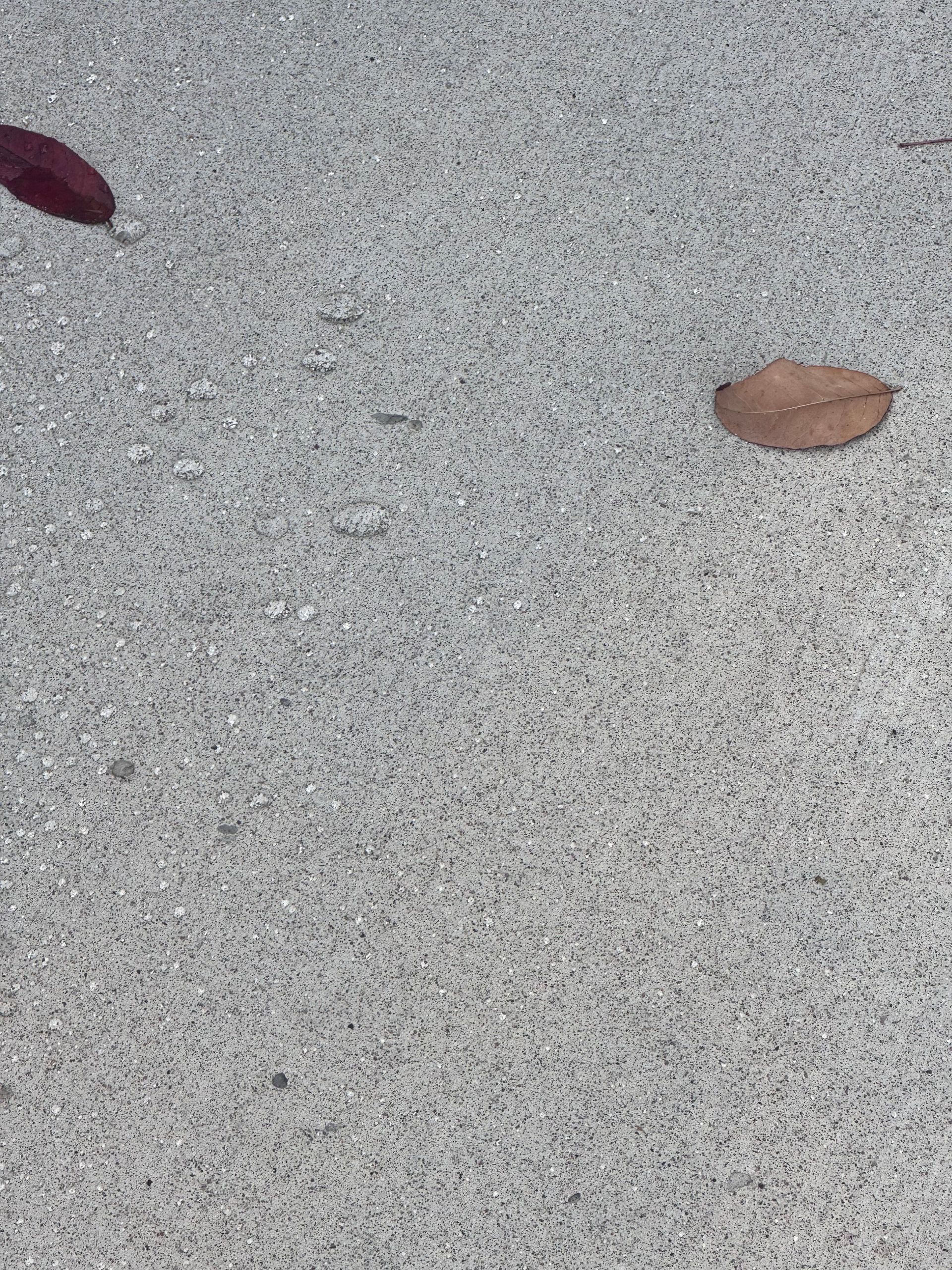Polished concrete floor in a modern dining hall, with buffet counters and hanging lights.