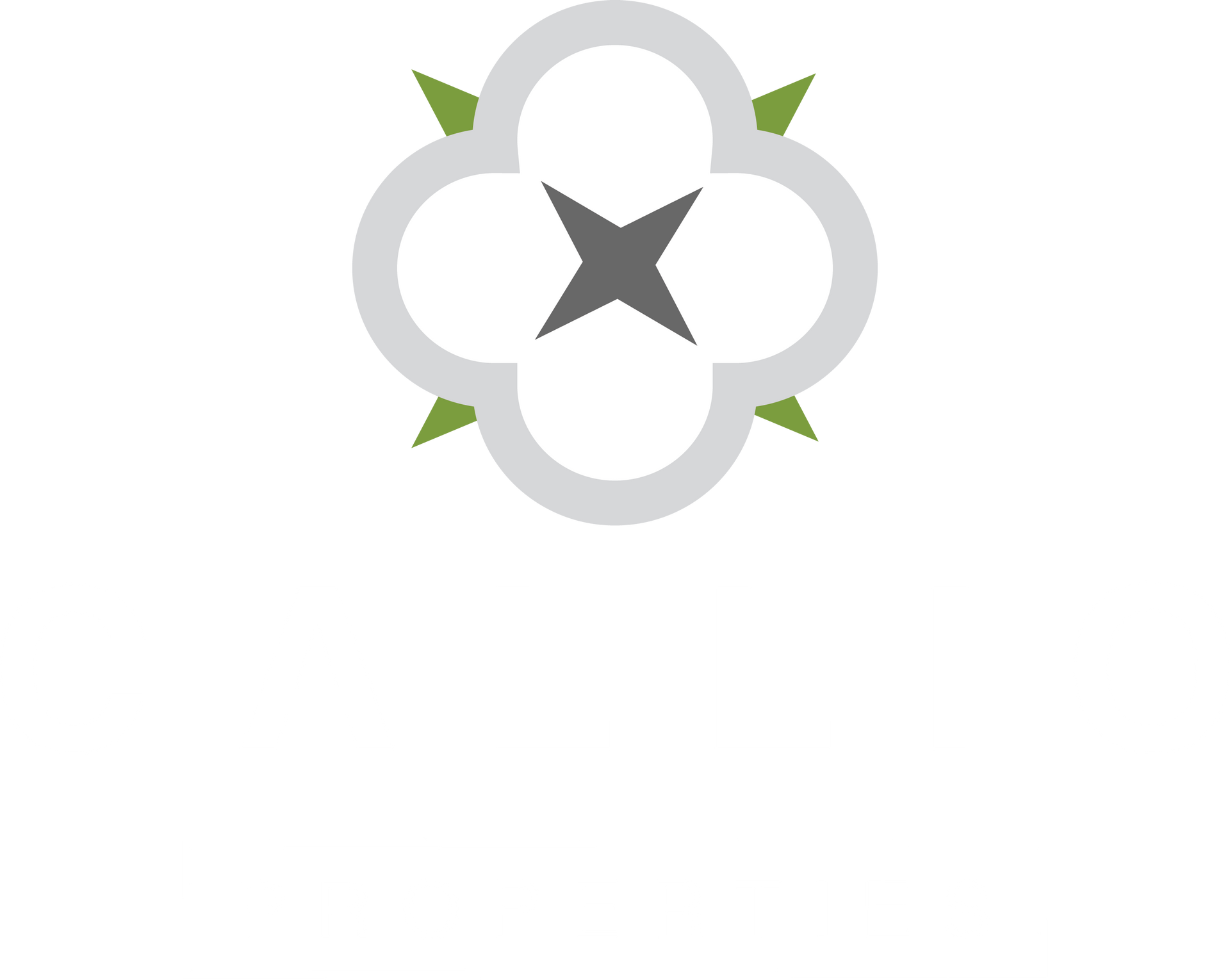 Callio Properties logo.