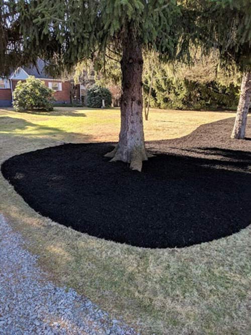 Landscaping — Tree with Black Soil in Cheswick, PA