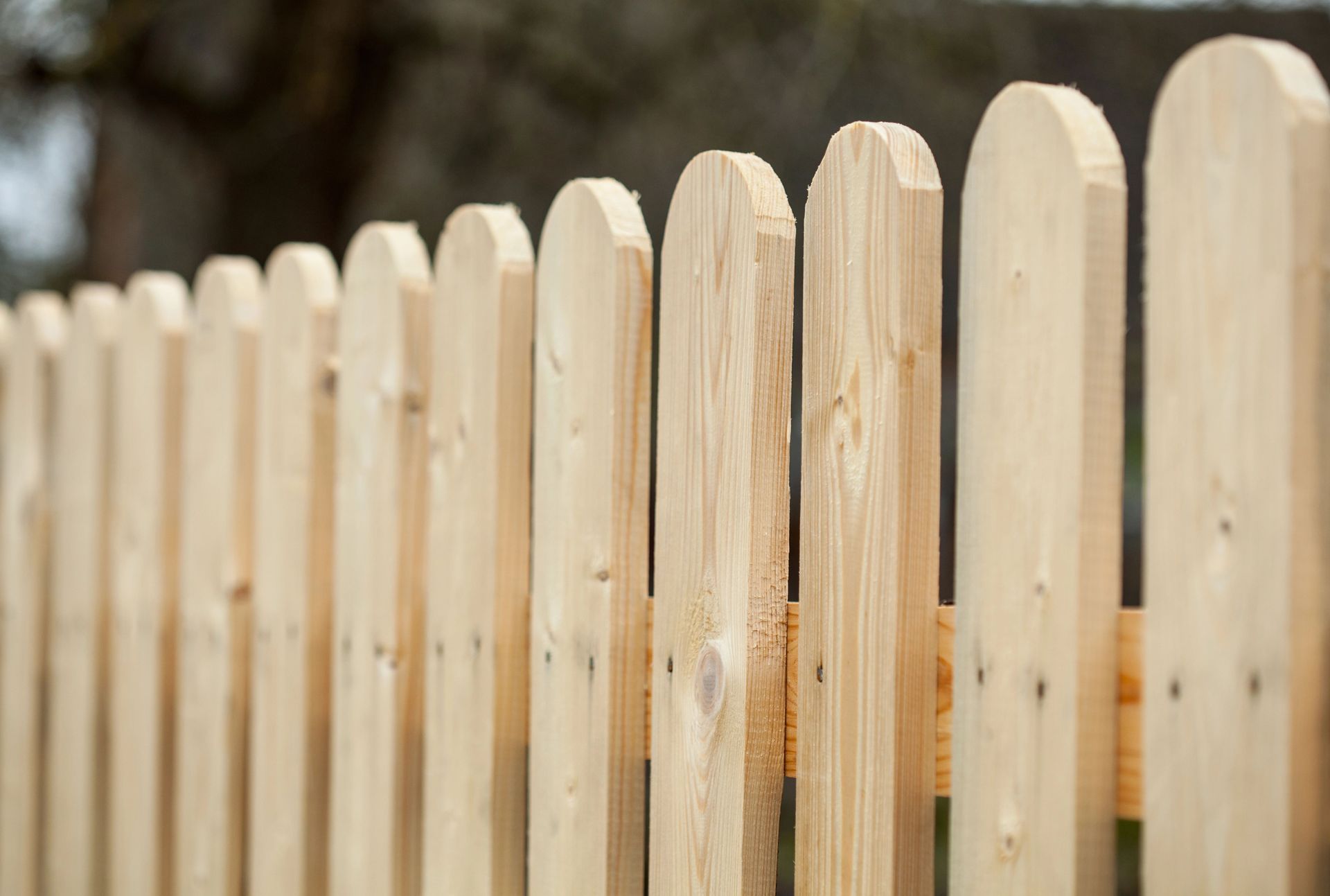 Tall wood fence