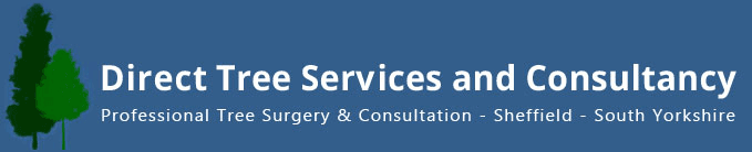 Direct Tree Services and Consultancy logo