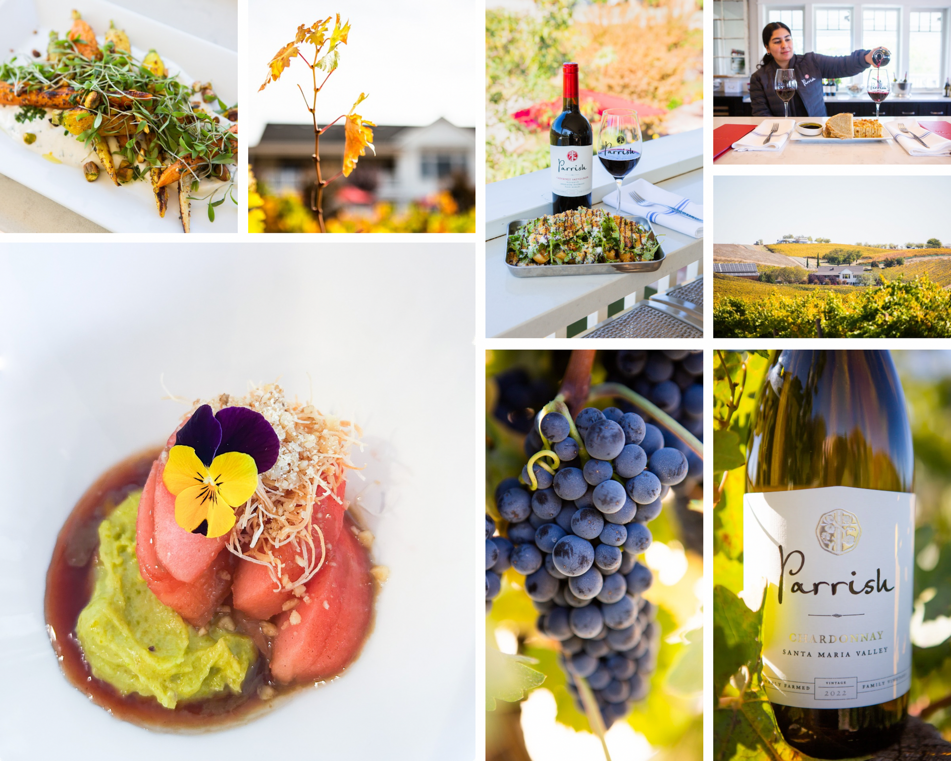 Wine and food photography at Parrish Family Vineyard, including red wine bottle and grapes.