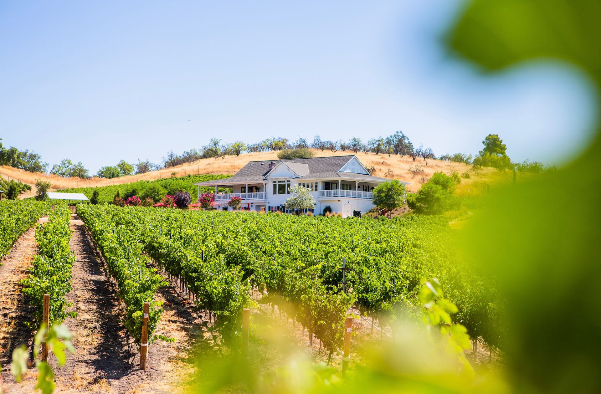 Parrish Family Vineyard Tasting Room with wraparound porches sits hill top with vineyard views in Paso Robles Wine Country.