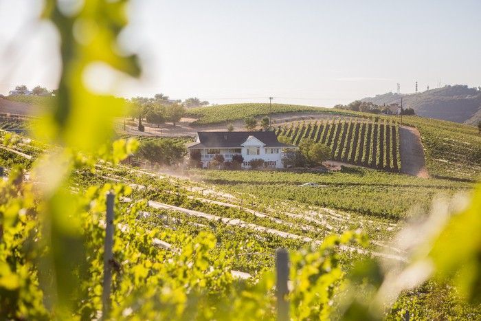 There is a white building of Parrish tasting room in the middle of a vineyard.