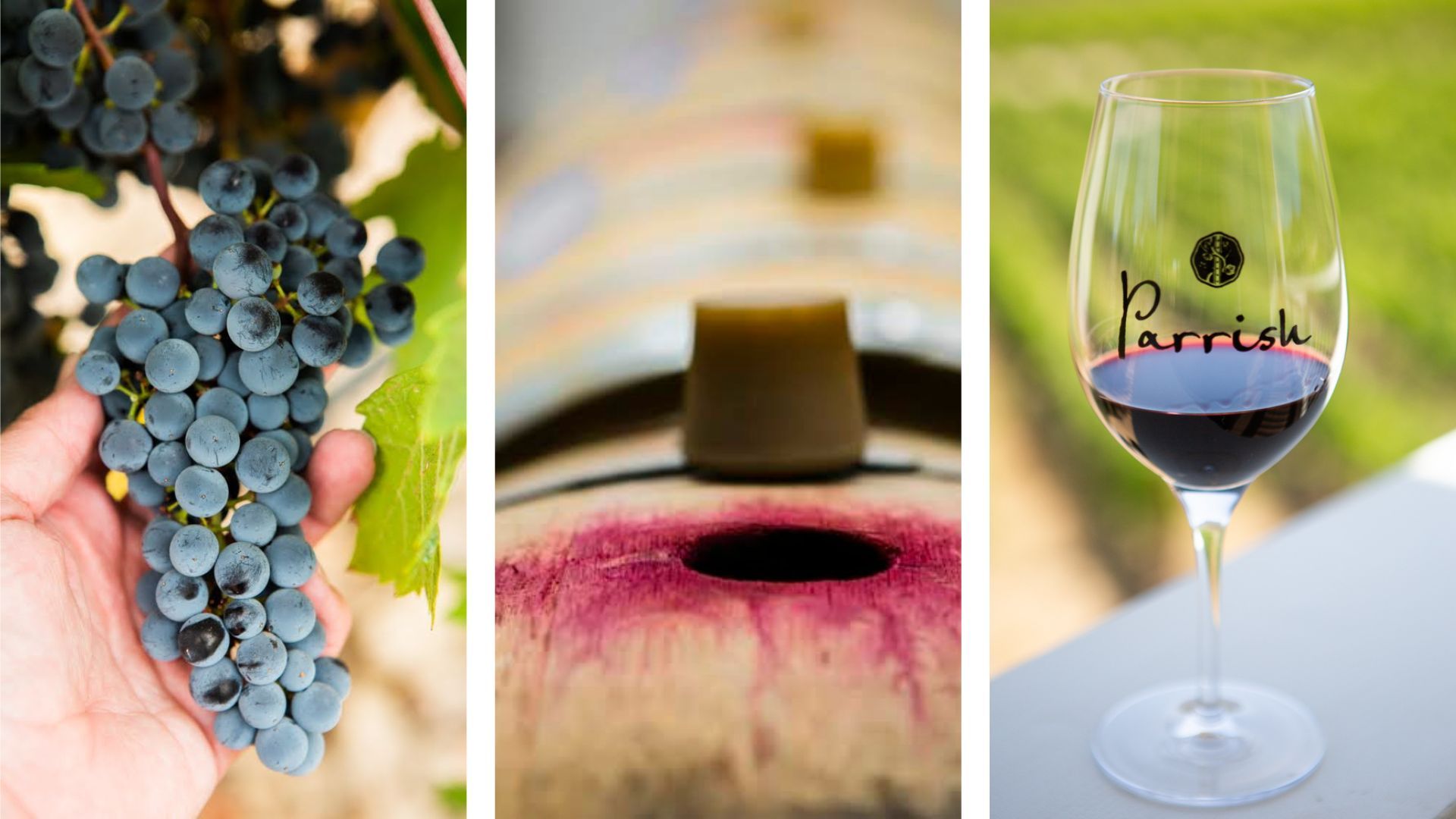 Wine Club Members at Parrish Family Vineyard have access to special wines, discounts, events, complimentary experiences, and much more!