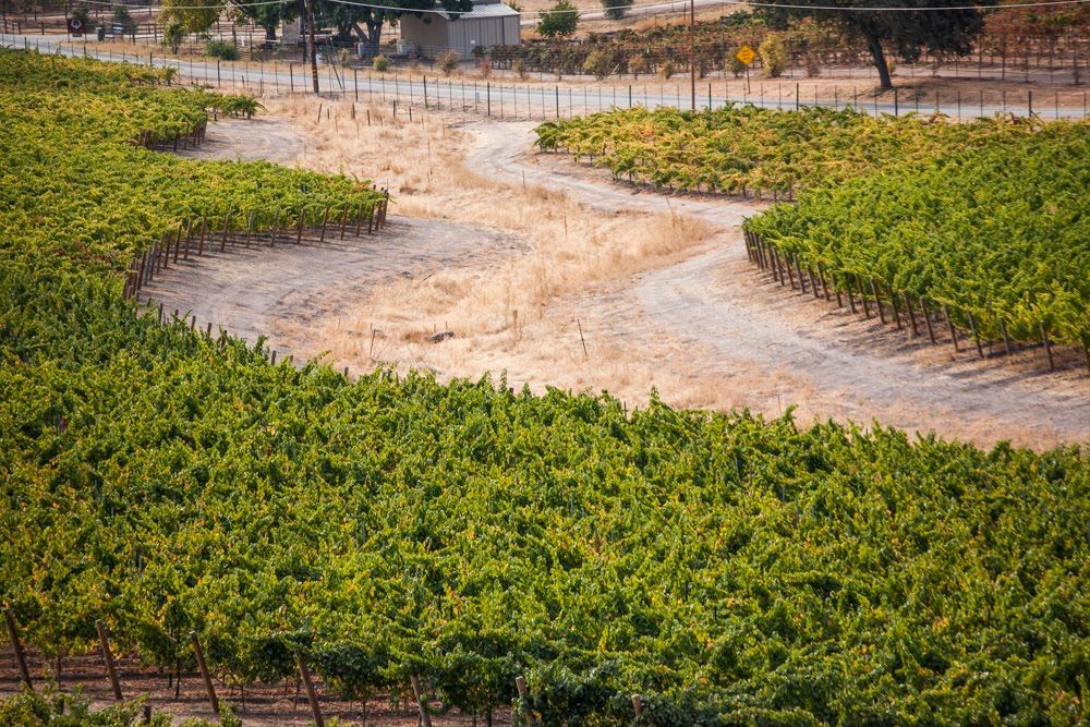 Adelaida Creek  prior to restoration in 2016 through Parrish Family Vineyard