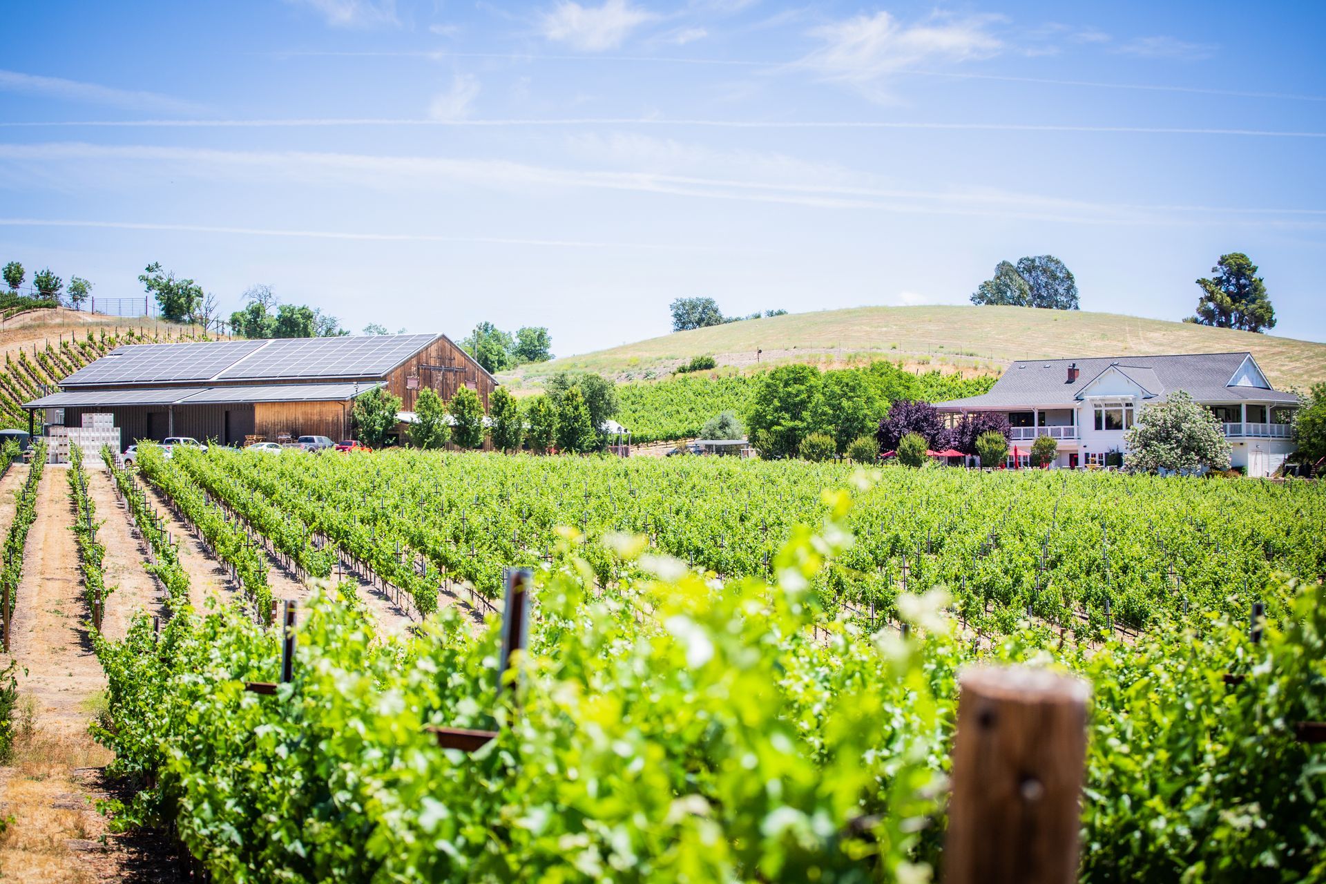 Parrish Family Vineyard's winery and vineyard showcase sustainability.