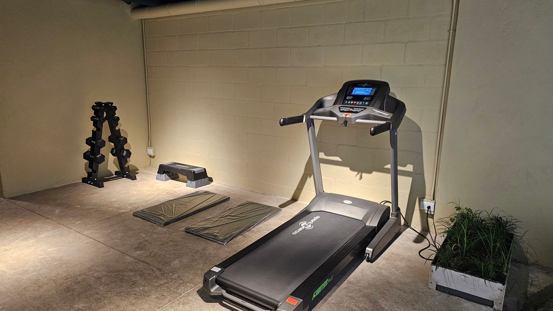 A treadmill is sitting in a room next to a dumbbell rack.