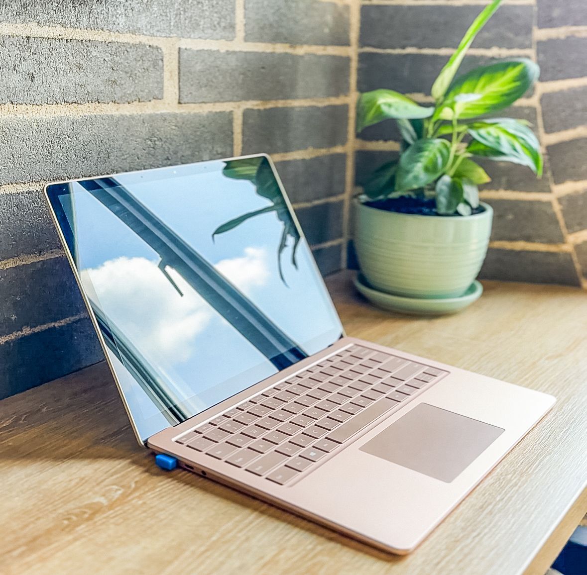 A laptop sits on a wooden desk next to a potted plant