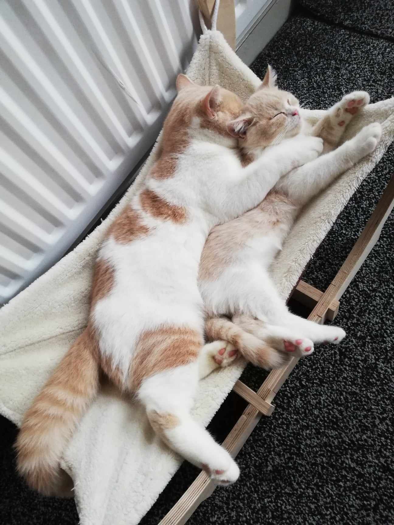Two orange and white cats cuddling in a hammock.