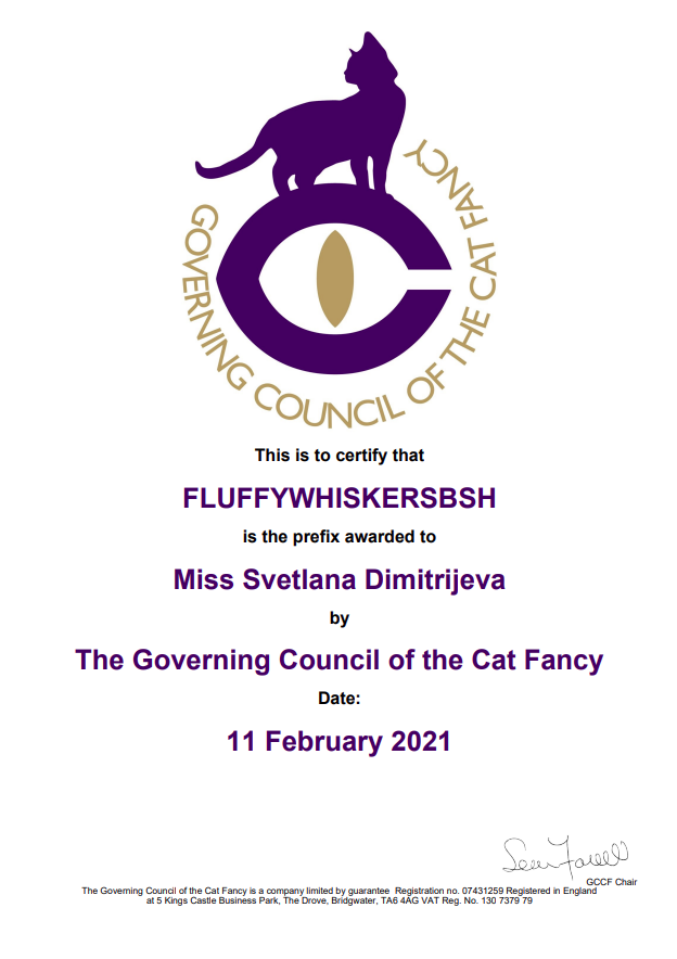 Certificate from the Governing Council of the Cat Fancy, awarding 