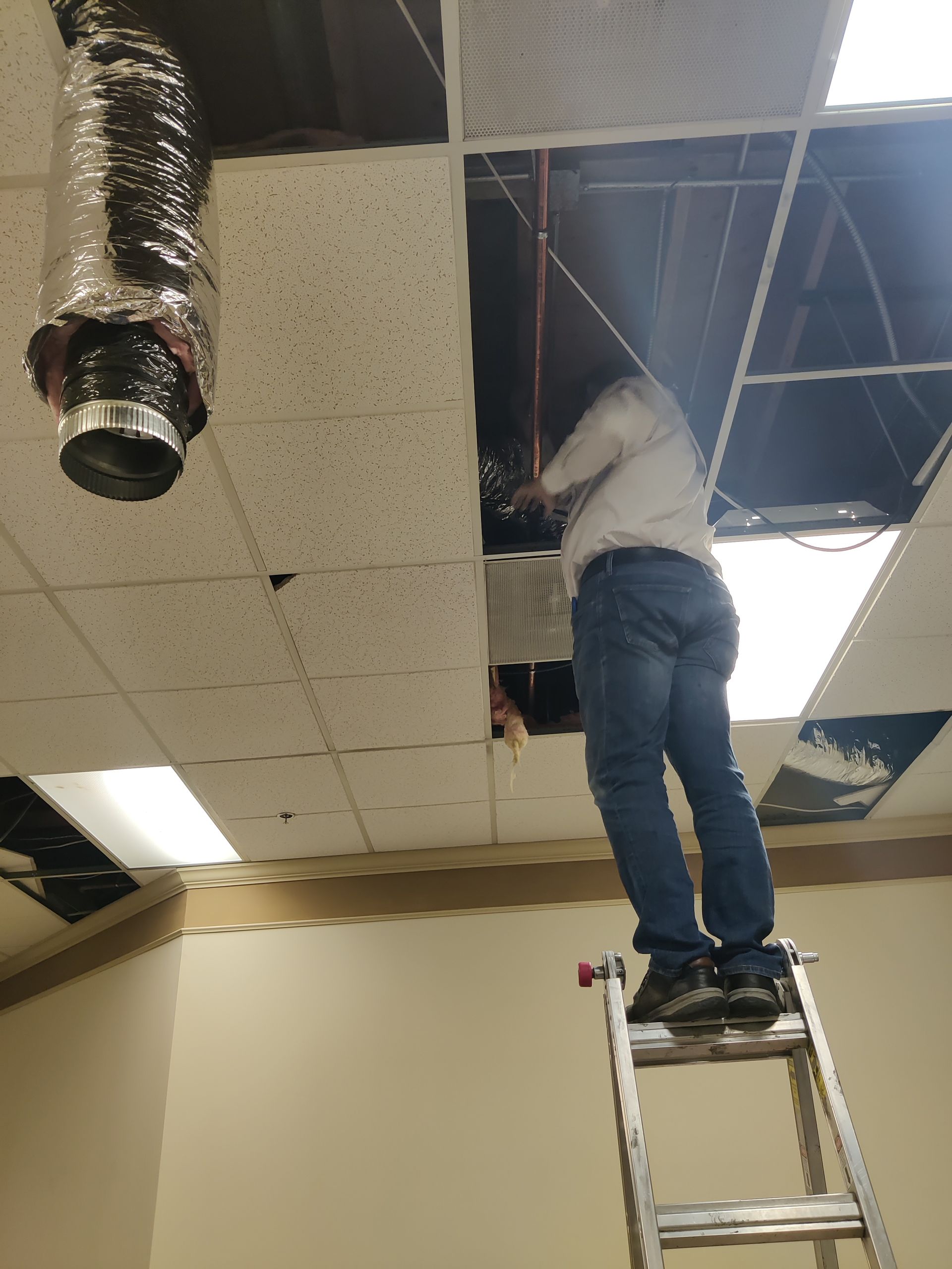 Person on ladder working on a ceiling. Ventilation duct and ceiling tiles are visible. Room has beige walls.