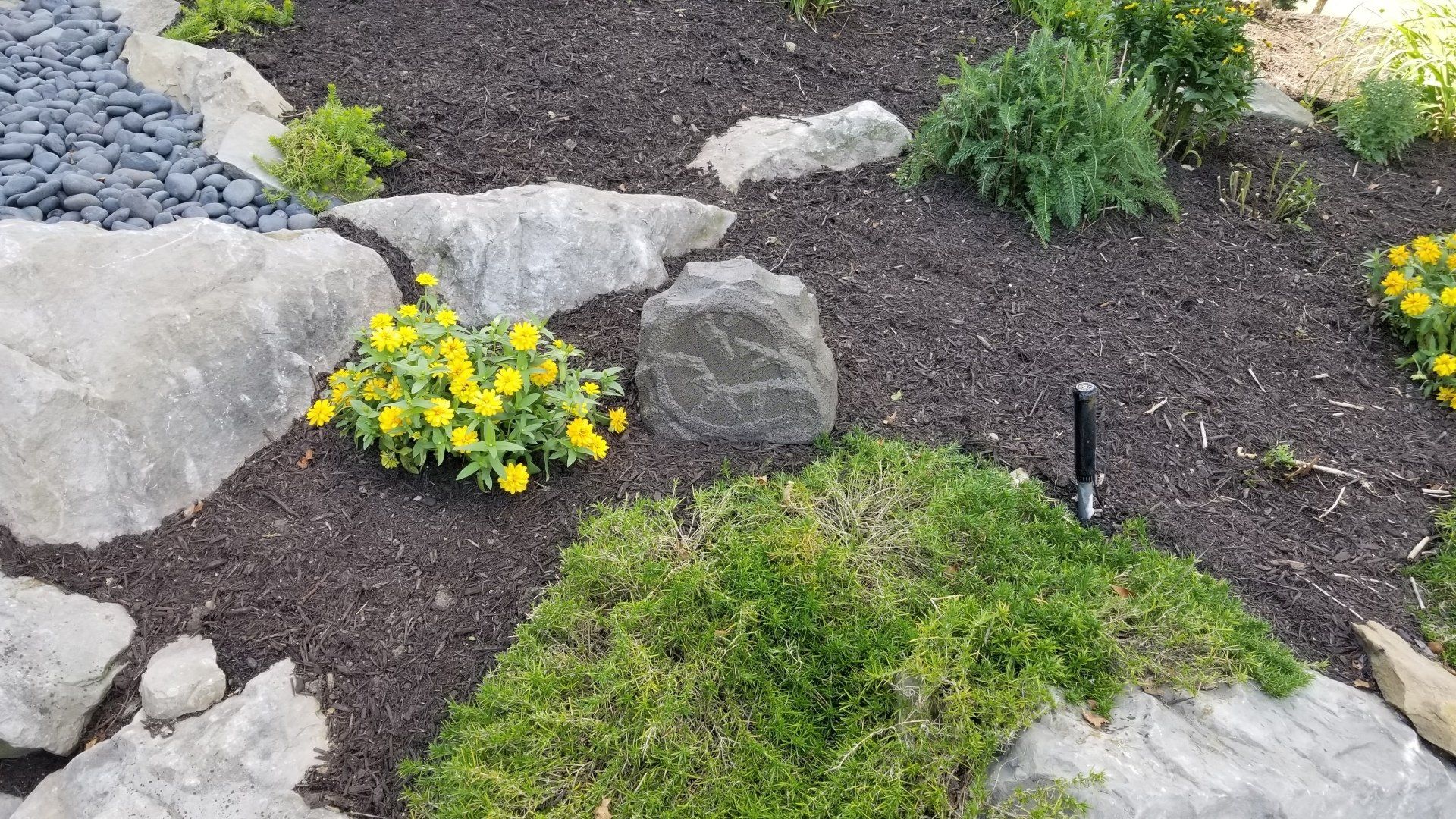 a rock speaker in the middle of a garden with yellow flowers