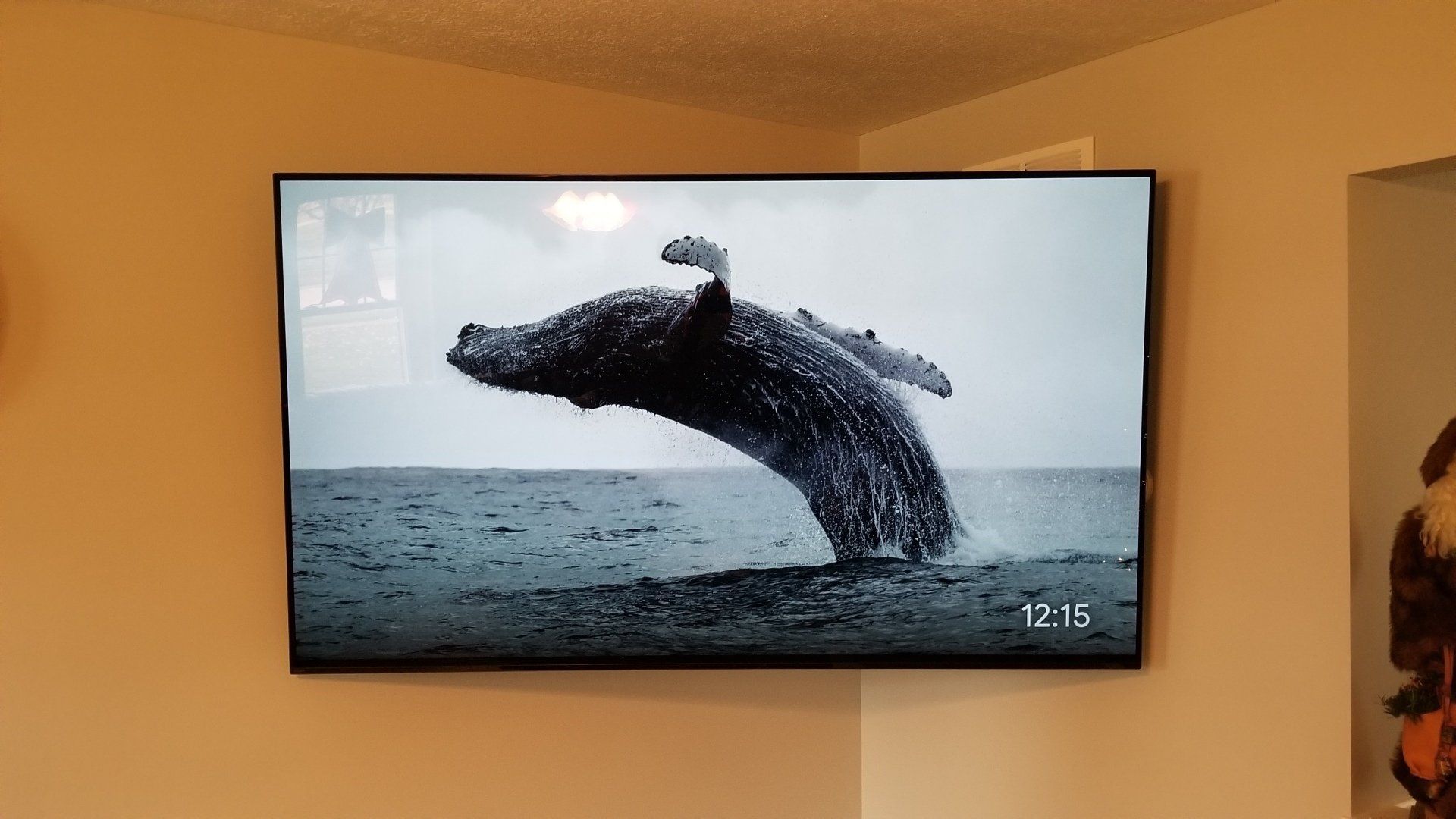 a TV screen mounted in a corner wall in north central ohio