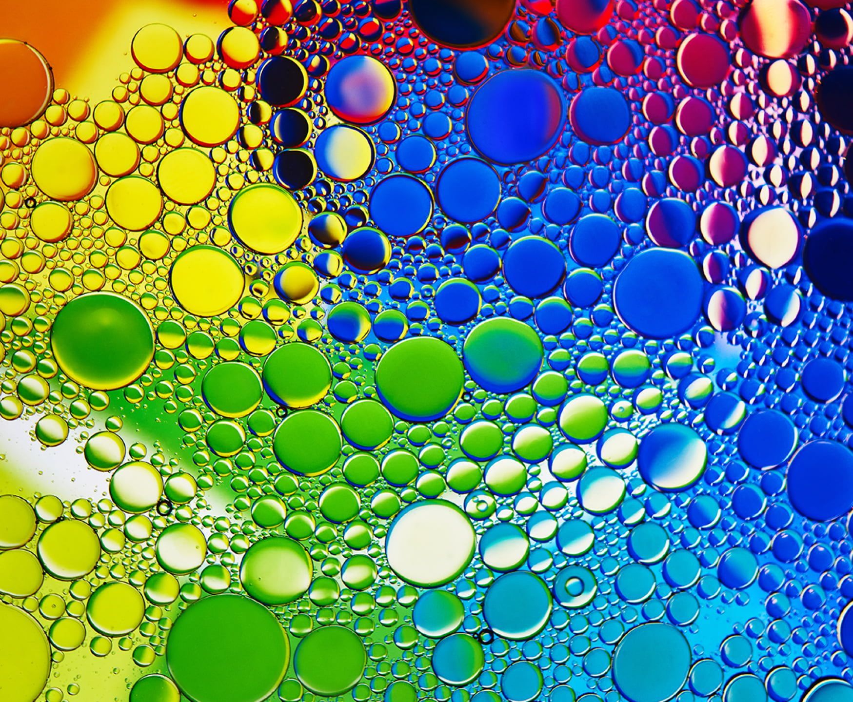 a rainbow of colored circles on a glass surface showing sony oled picture quality